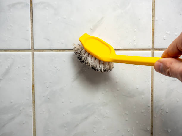 Best Mold Testing and Removal  in Checotah, OK