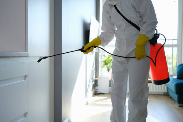 Crawl Space Mold Removal in Checotah, OK